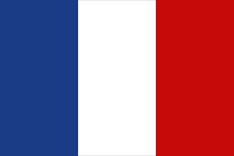 How Did the French Flag Come to Be?