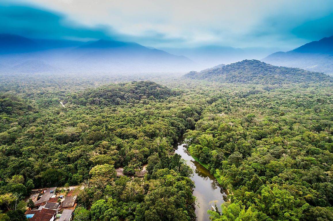Top 10 Ways We Are Destroying The Amazon
