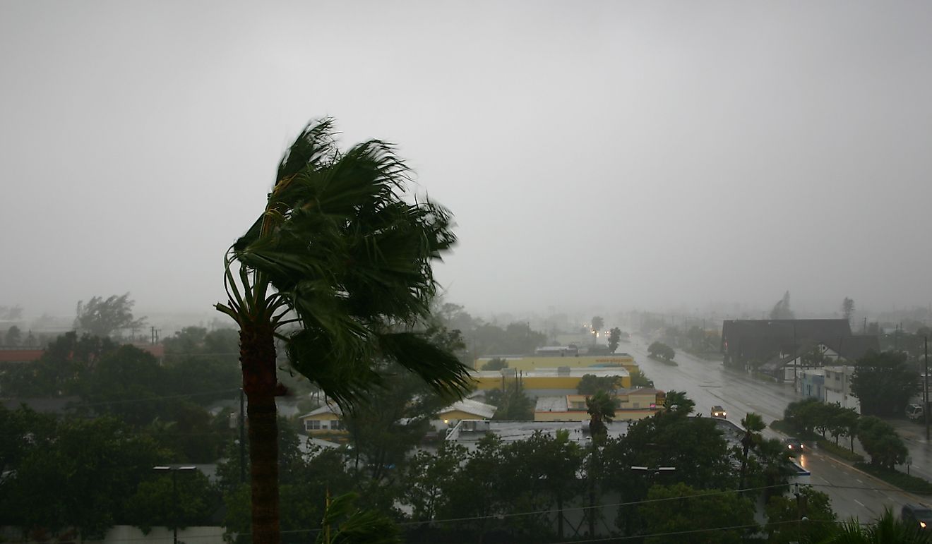 What Happened In Hurricane Katrina?