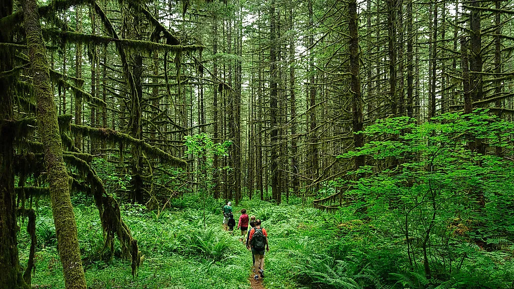 What is Ecotourism?