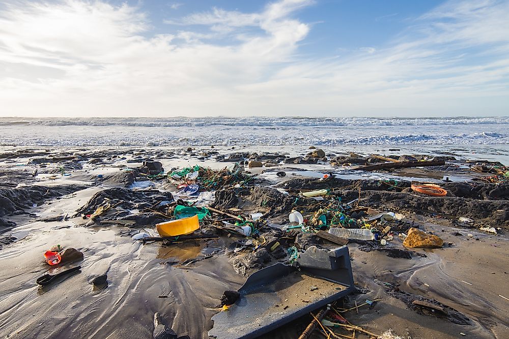 Are Seafood Consumers Ingesting Microplastics?