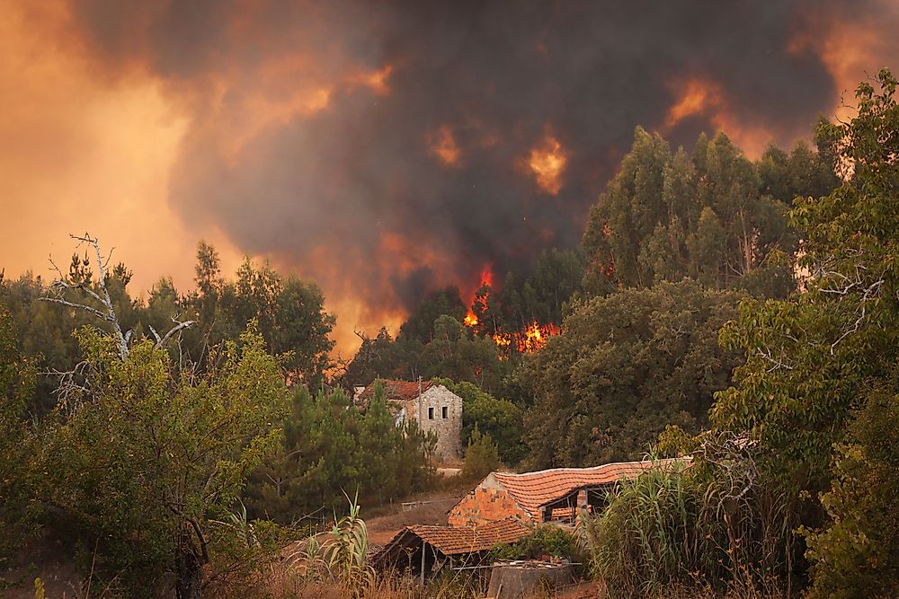 European Countries with the Most Forest Fires