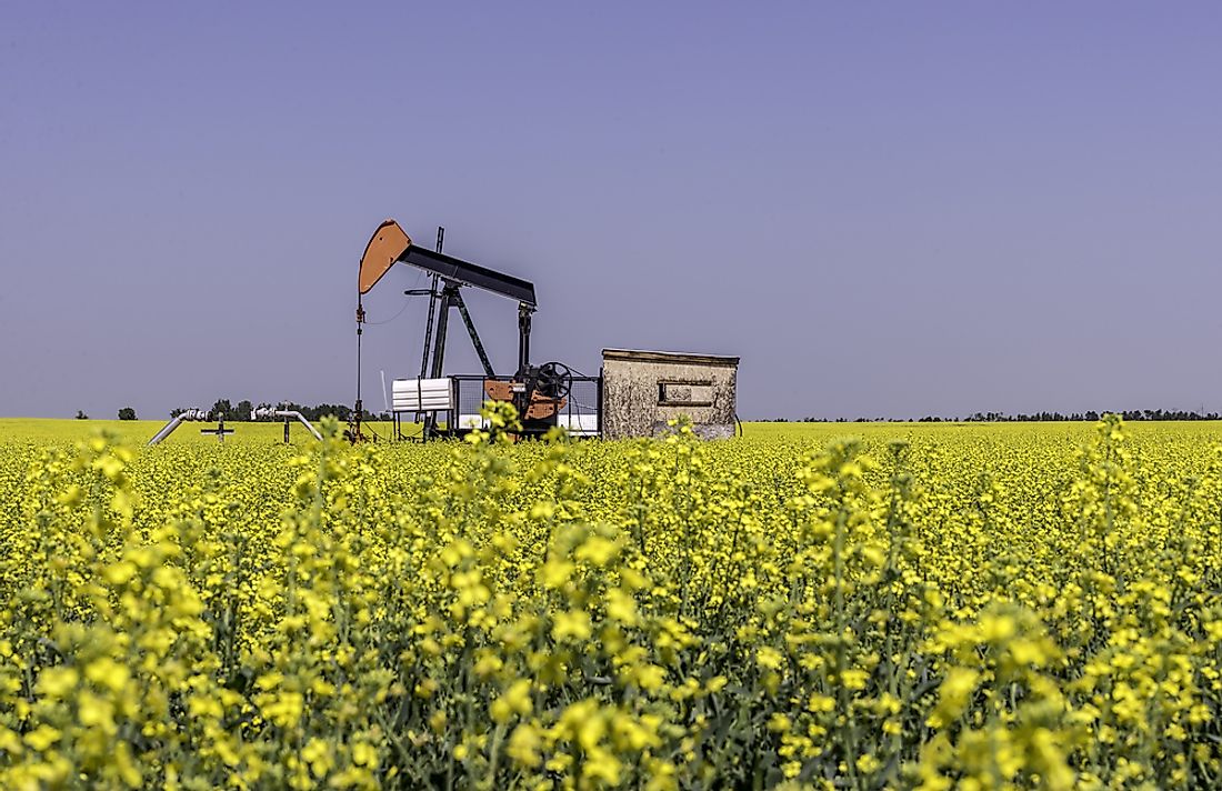 What Are The Biggest Industries in Texas?