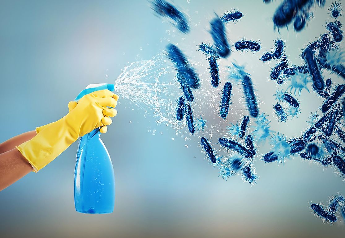 10 Of The Best/Most Used Disinfection Products