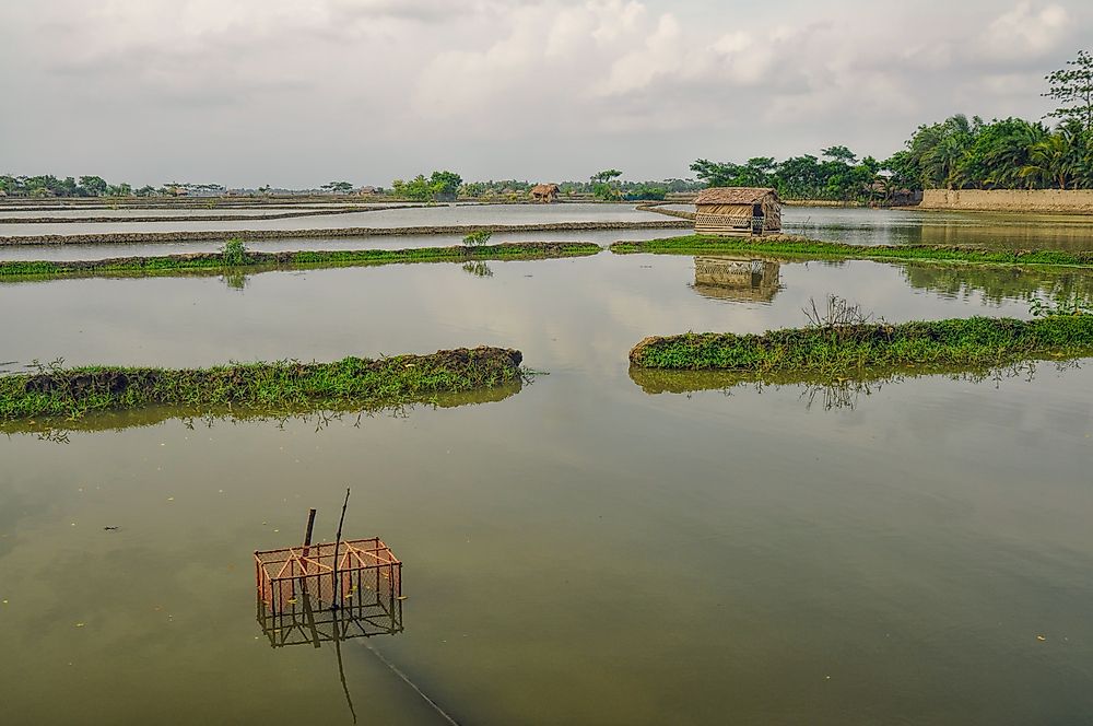 10 Countries That Could Disappear With Global Warming