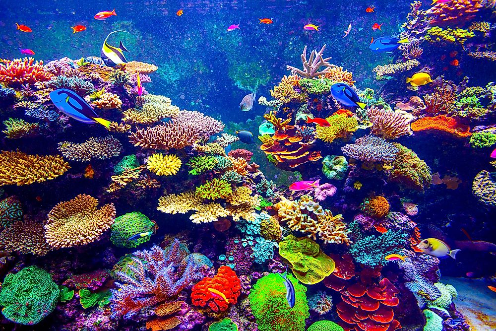 Oldest Aquariums in the United States