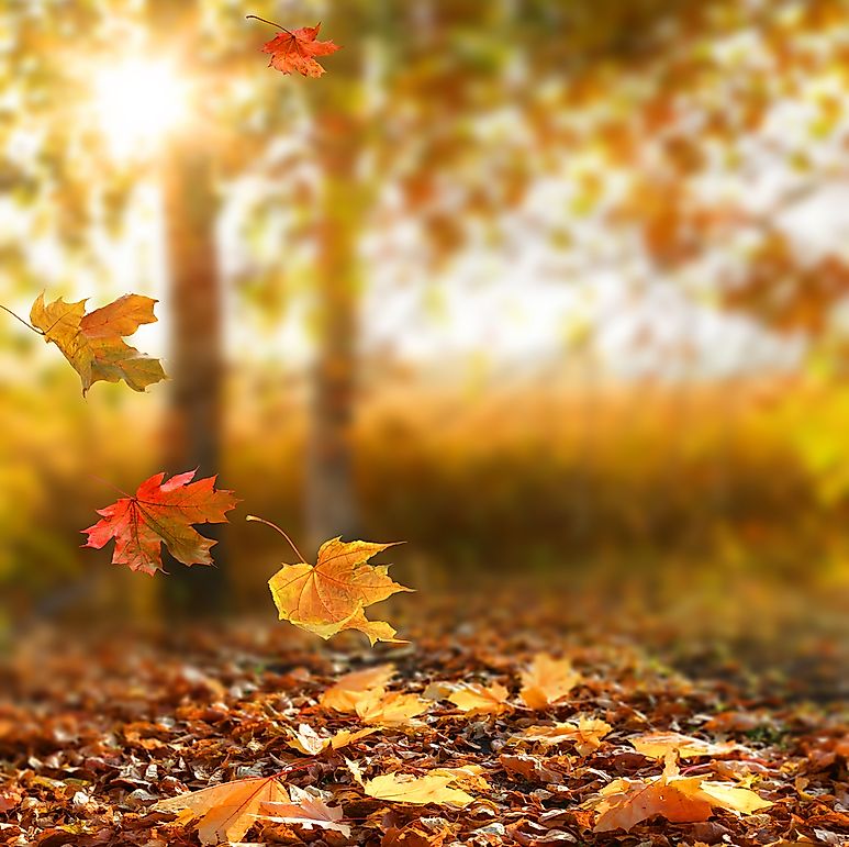 Autumn time Shutterstock-475746394