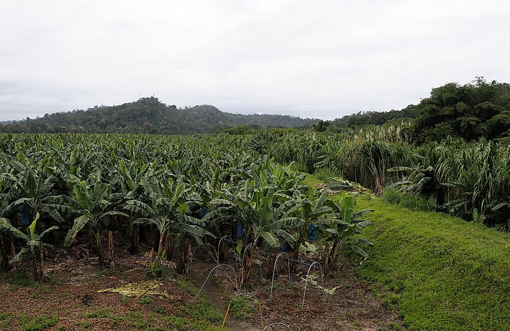 What Are The Biggest Industries In Costa Rica?
