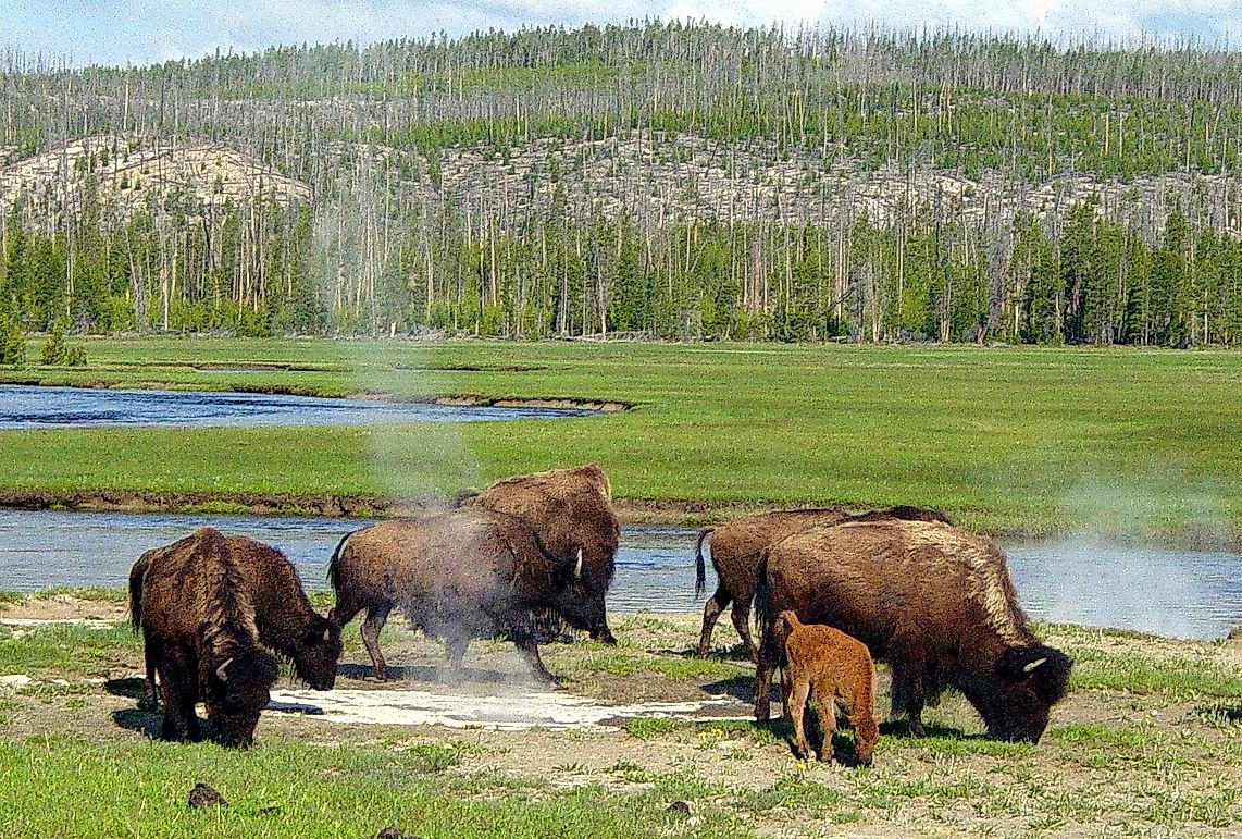 Oldest National Parks In The United States