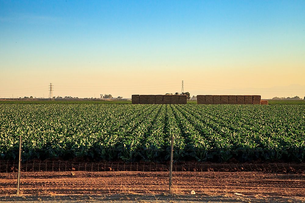 What Are The Major Natural Resources Of Mexico?
