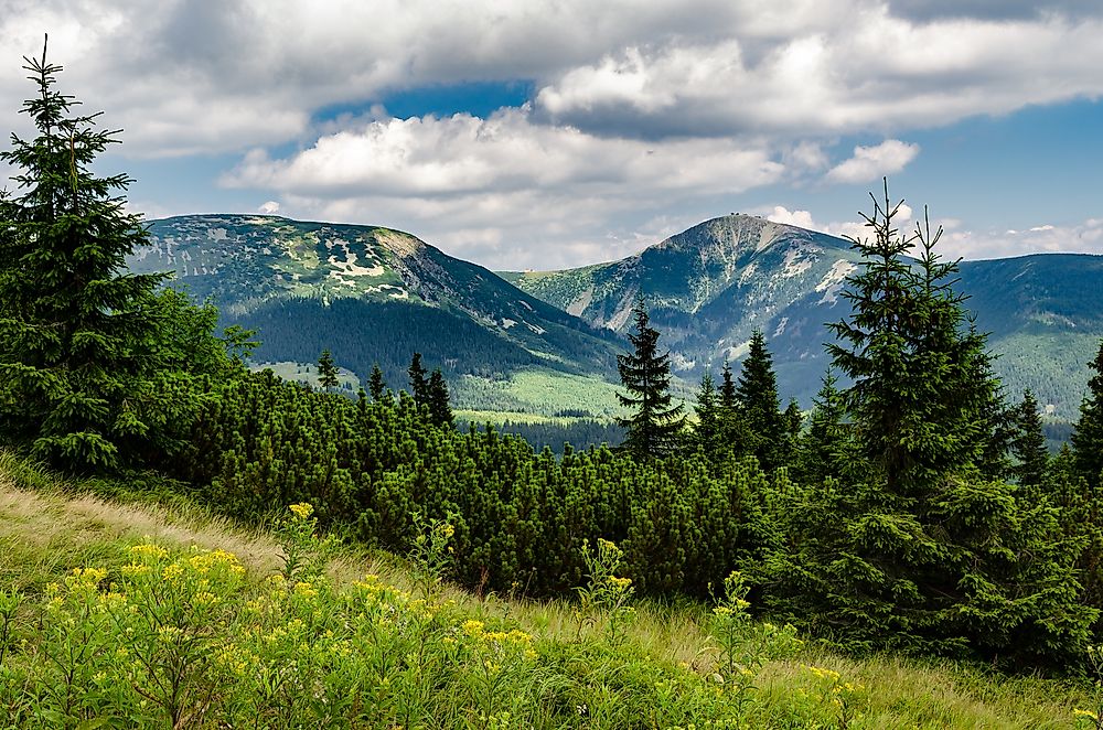 The Four National Parks Of The Czech Republic