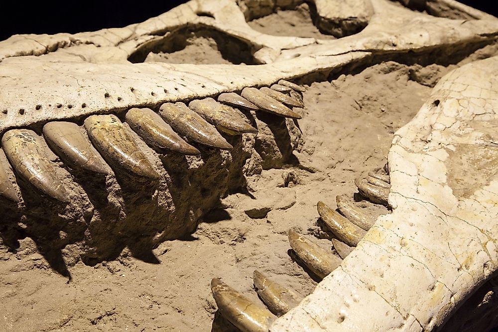 when was the first dinosaur on earth