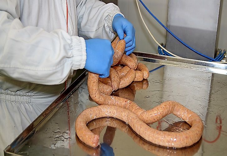 All About the Meat Processing Industry