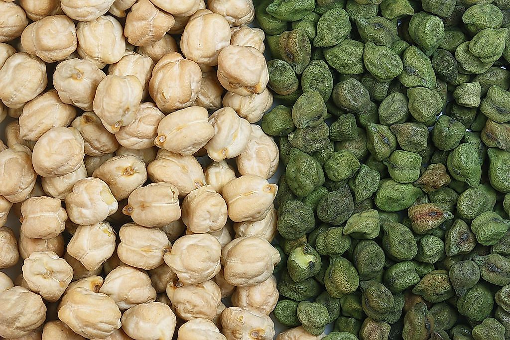 Top Chickpea Producing Countries In The World