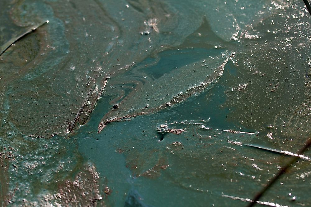 What Is an Ocean Dead Zone?
