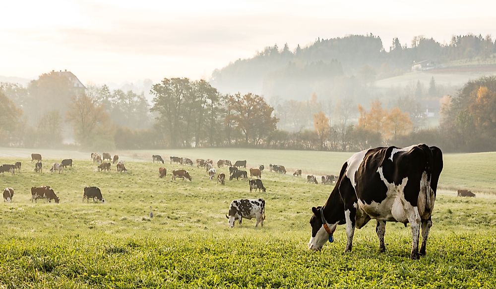 What Are The Biggest Industries In Switzerland?