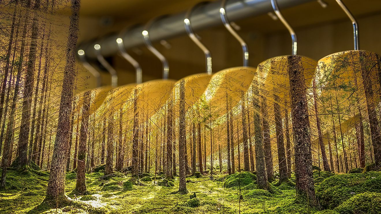 10 Sustainable Clothing Brands You Won't Feel Guilty Buying