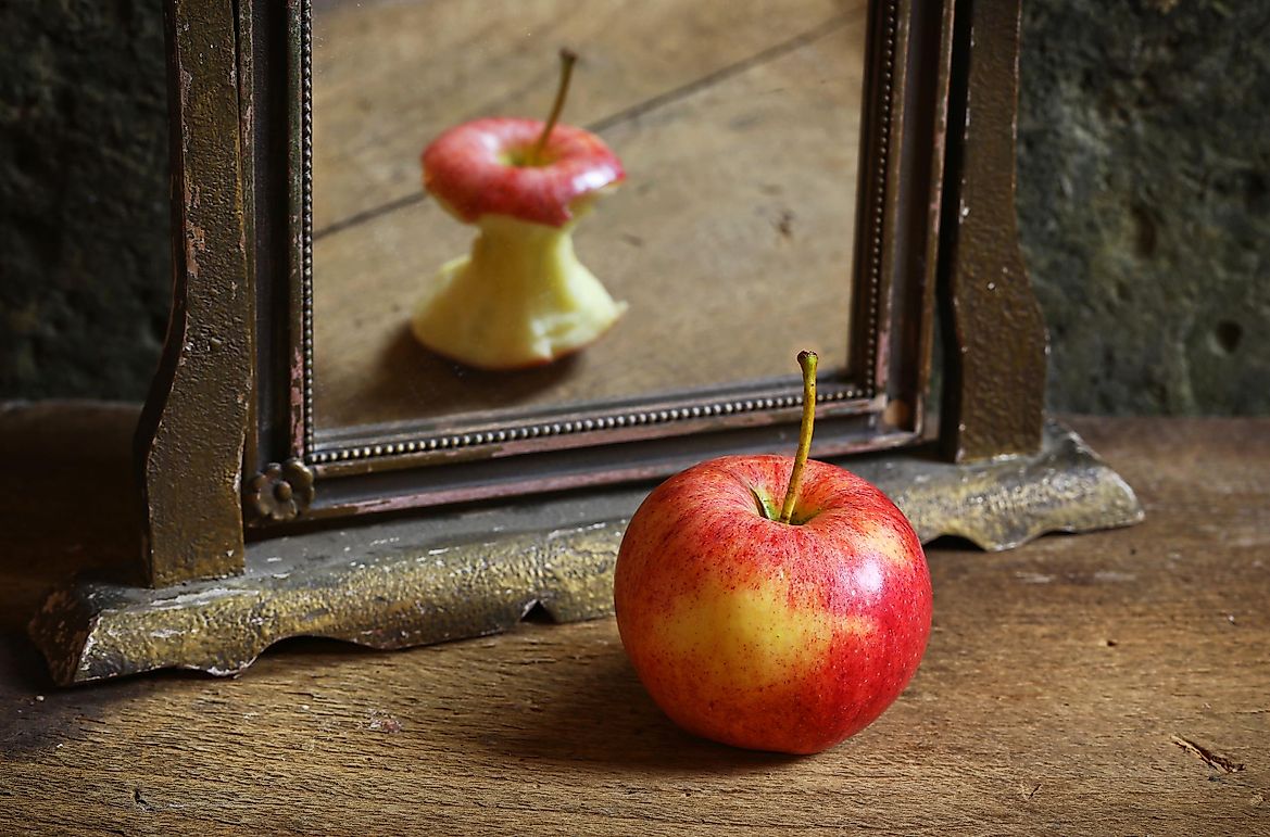 10 Paradoxes That Will Bend Your Mind