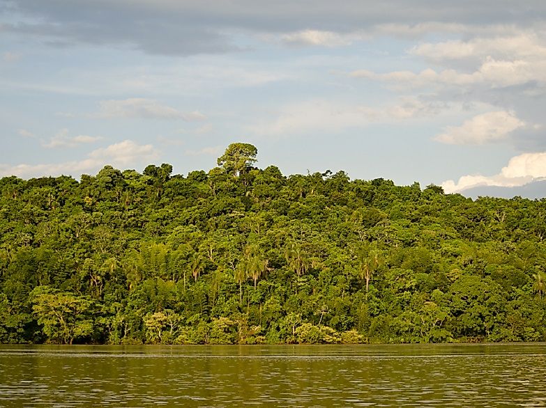 The Parana River