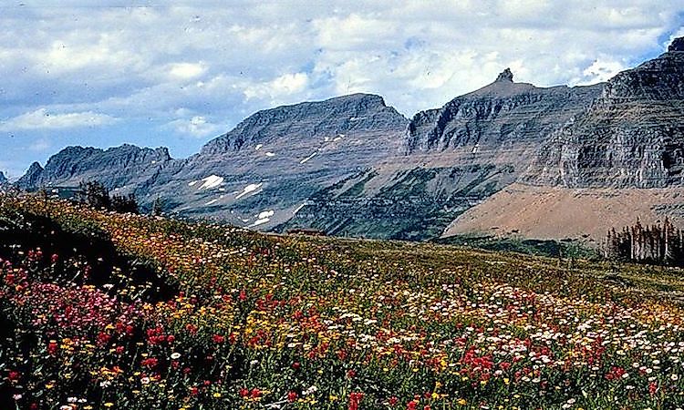 Mountain And Glacial Landforms: What Is An Arête?