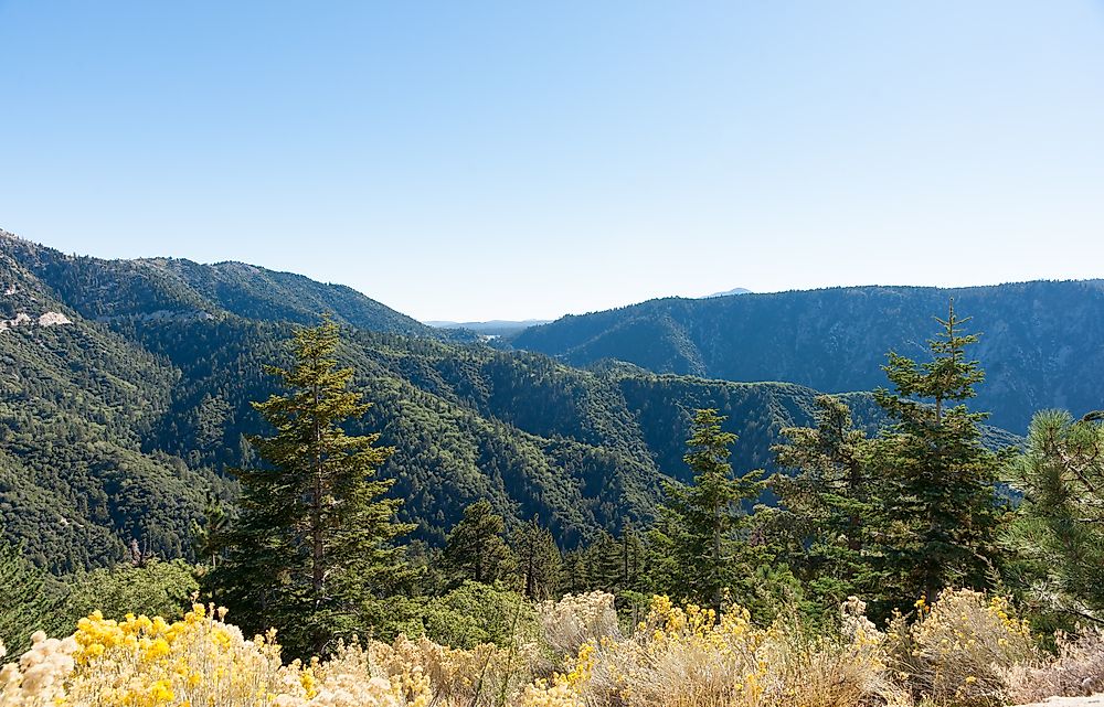 US States With The Most National Forests