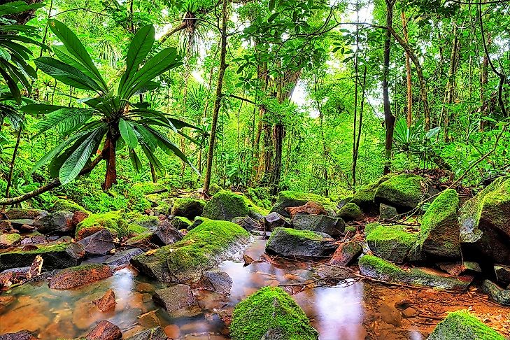 Madagascar's National Parks, Reserves, And Protected Areas