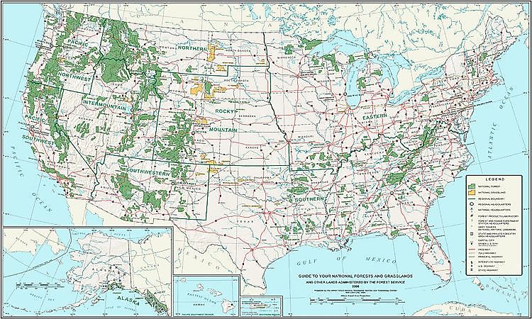 National Forests Of The United States: Significance In Biodiversity Conservation