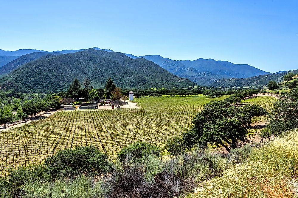 US States by Wine Production