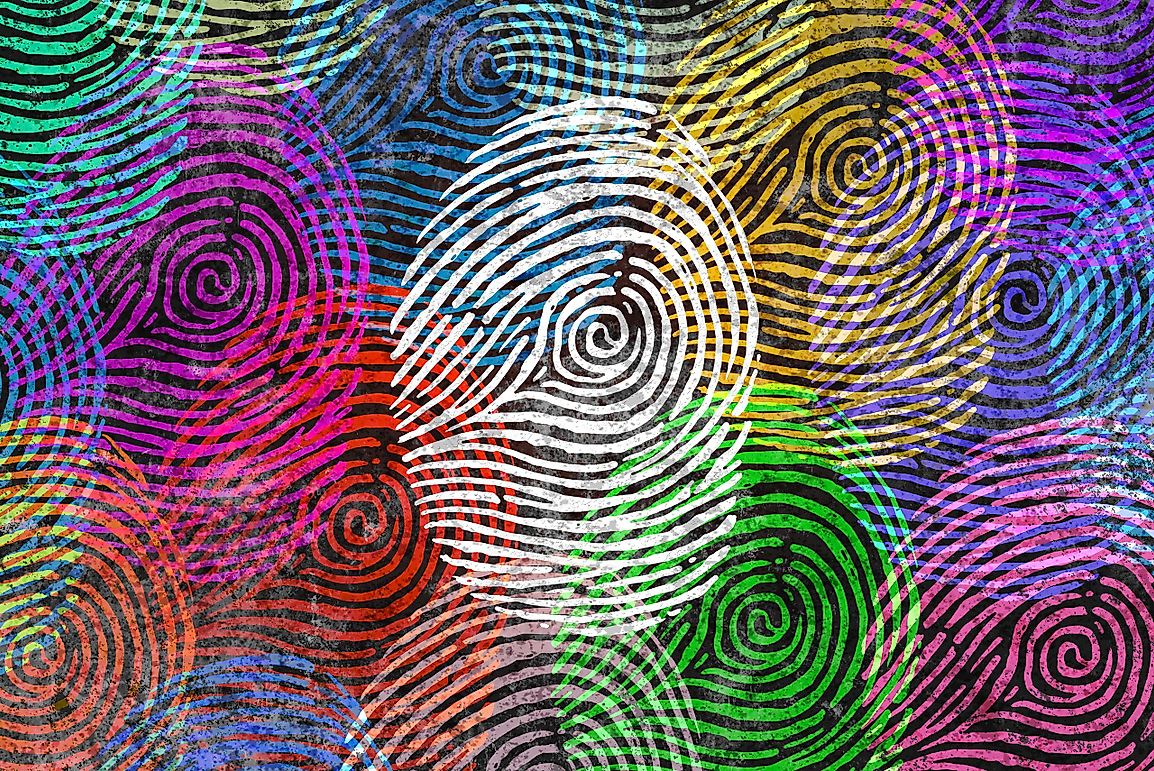 Are Babies Born With Fingerprints?