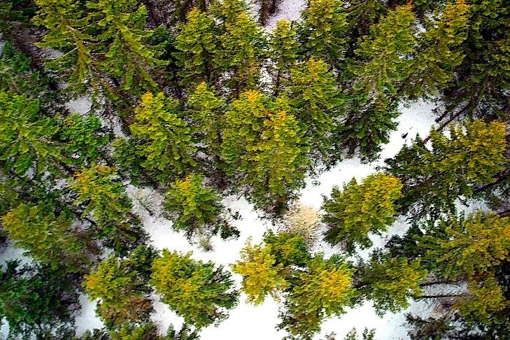 Habitats And Ecosystems In Poland