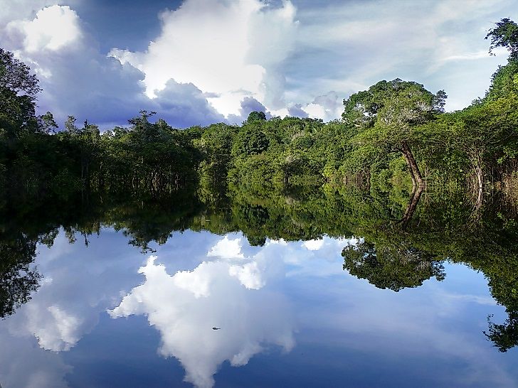 Biggest Rivers In Brazil
