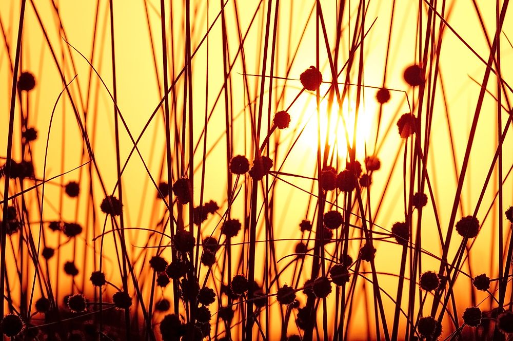 10 Interesting Facts About the Summer Solstice