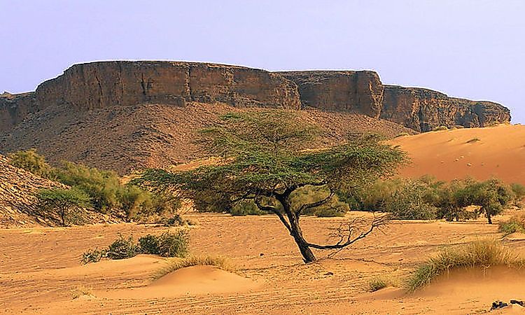 Ecological Regions Of Mauritania