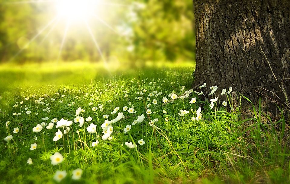 Where in the World Has the Best Weather?