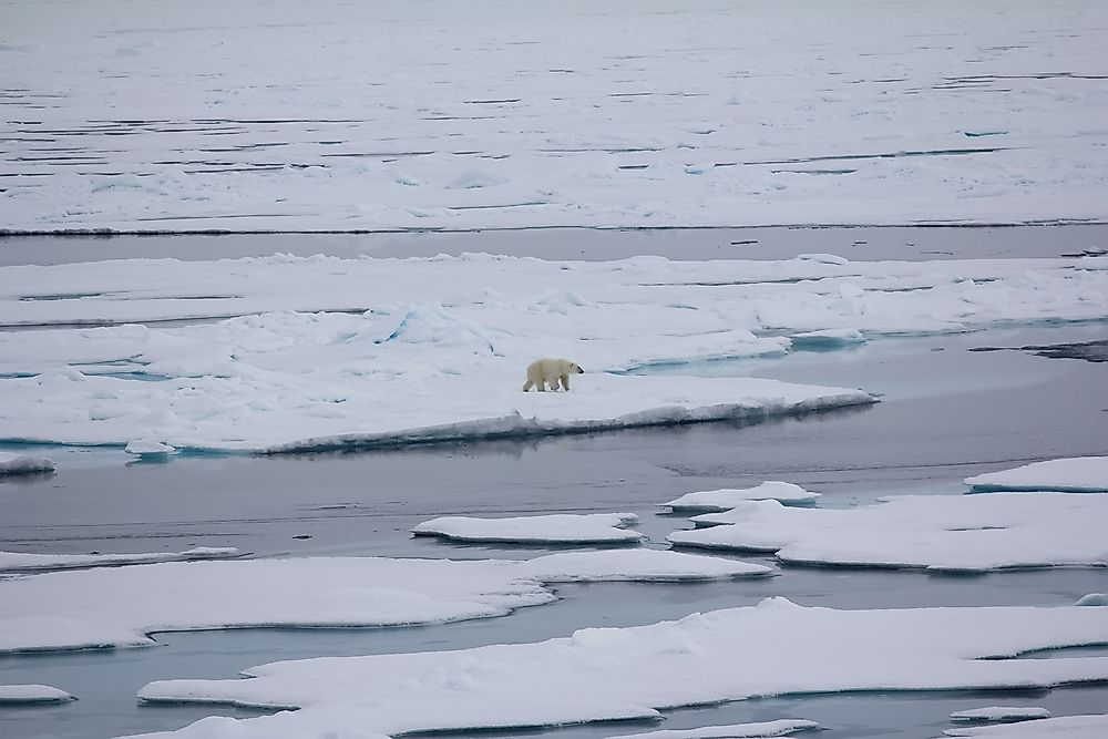 Why Isn't The Arctic Considered To Be A Continent?