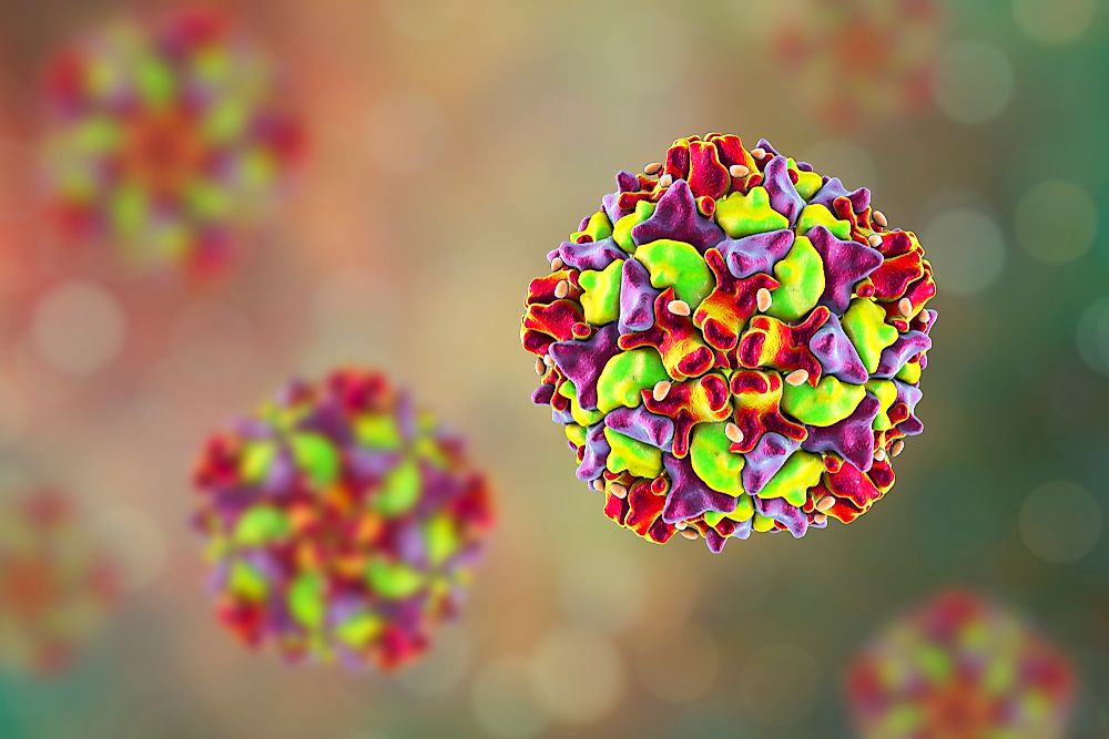 Which Infectious Diseases Have Been Eliminated From The United States?