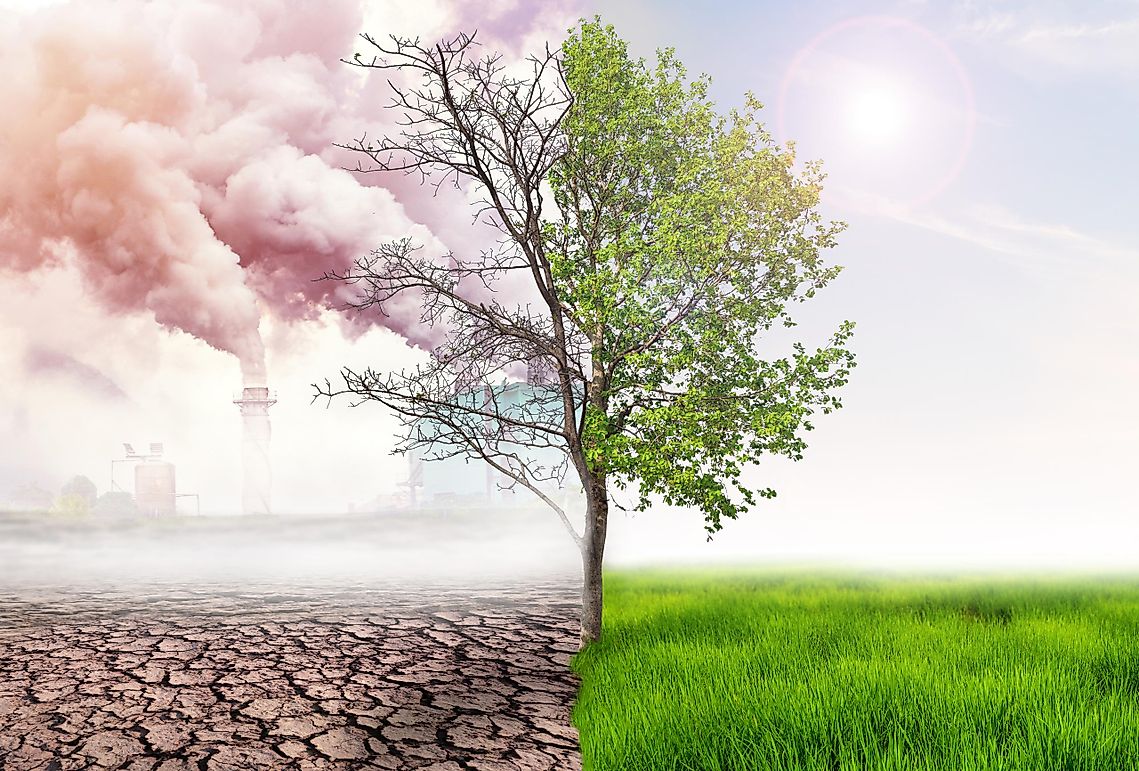 What Is Point Source Pollution?