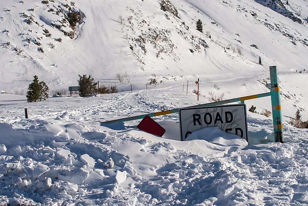 What Are The Effects Of An Avalanche?