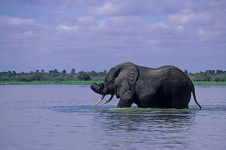 Major Rivers Of Tanzania