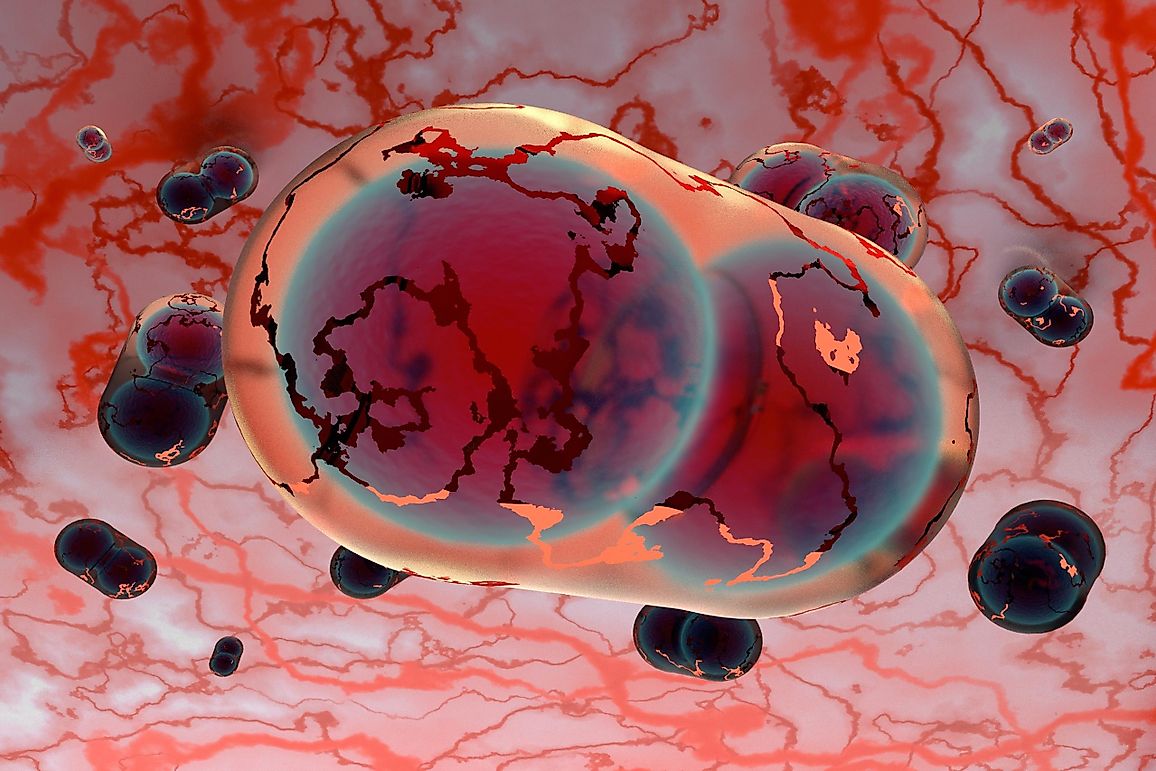 What Are Bioweapons?