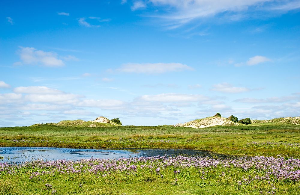 Where Are The Frisian Islands Located?
