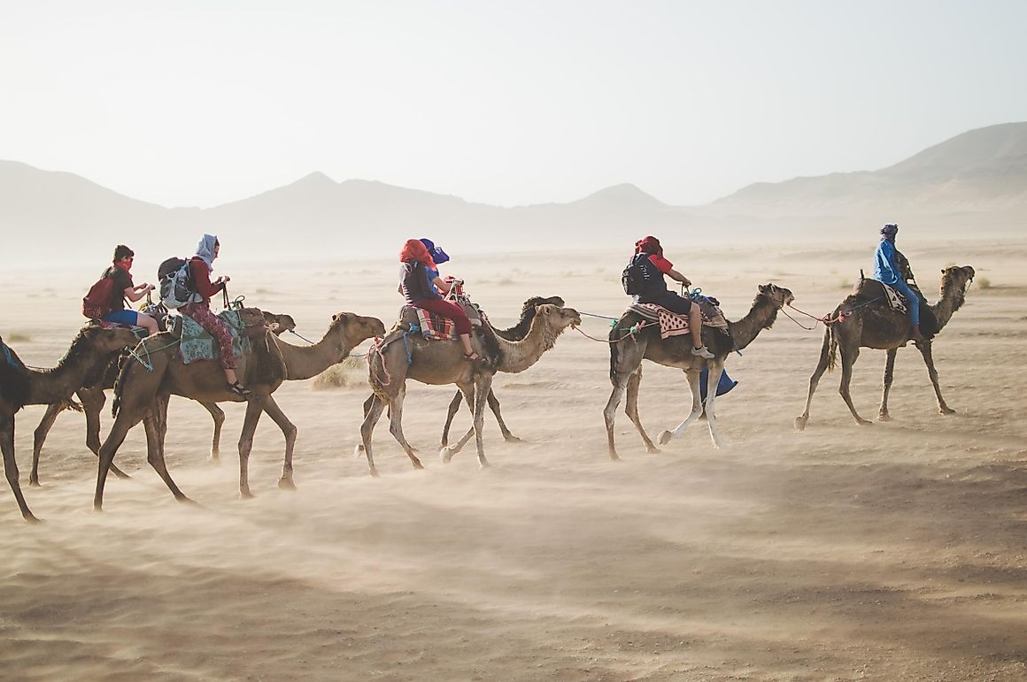 15 Best Tour Groups To Try If You're A Single Millennial