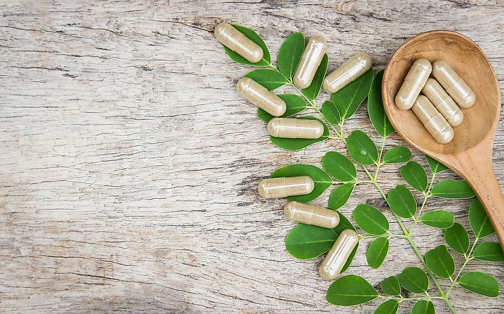 10 Animals Being Exploited For Use In Alternative Medicine
