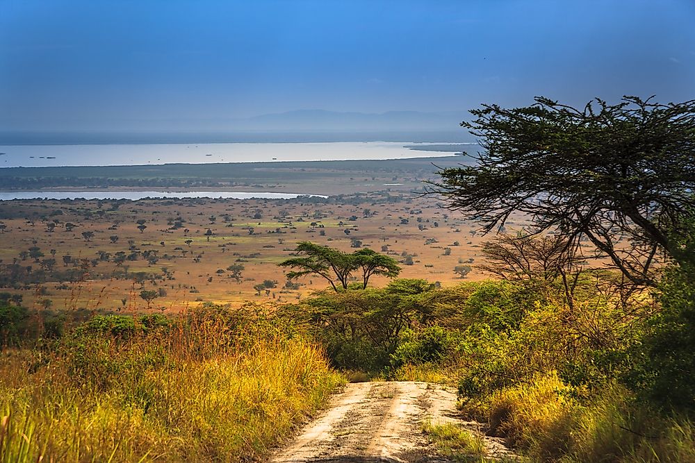 The Western Or Albertine Rift Valley Lakes