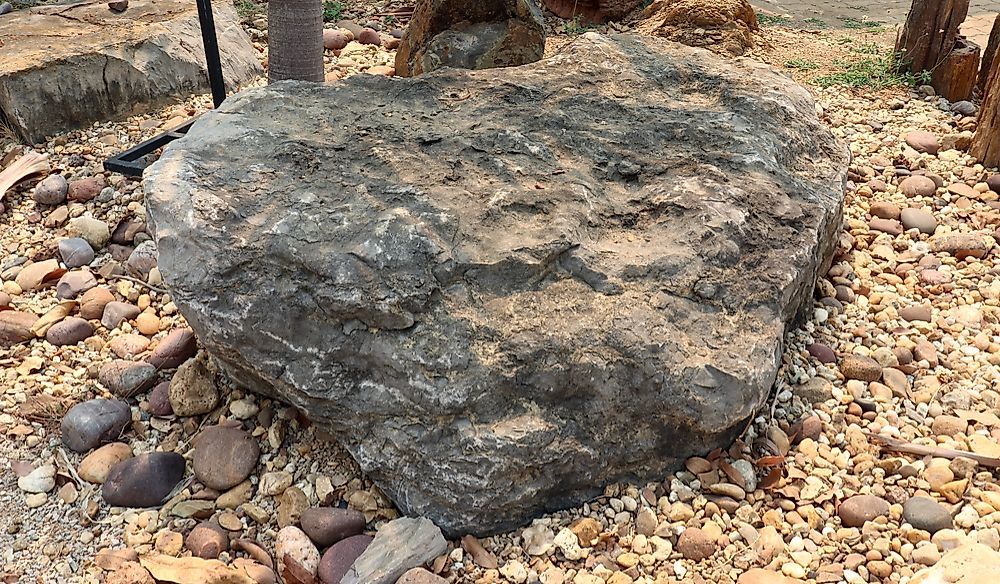 What Is An Oncolite?