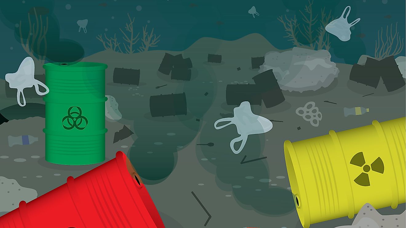 What Is Bioaccumulation And How Is It Different From Biomagnification?