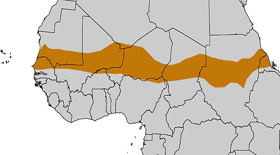 Where is the Sahel Region of Africa?