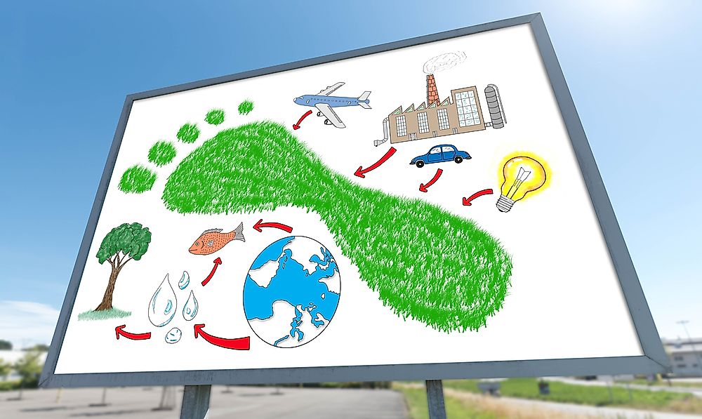 What Is an Ecological Footprint?