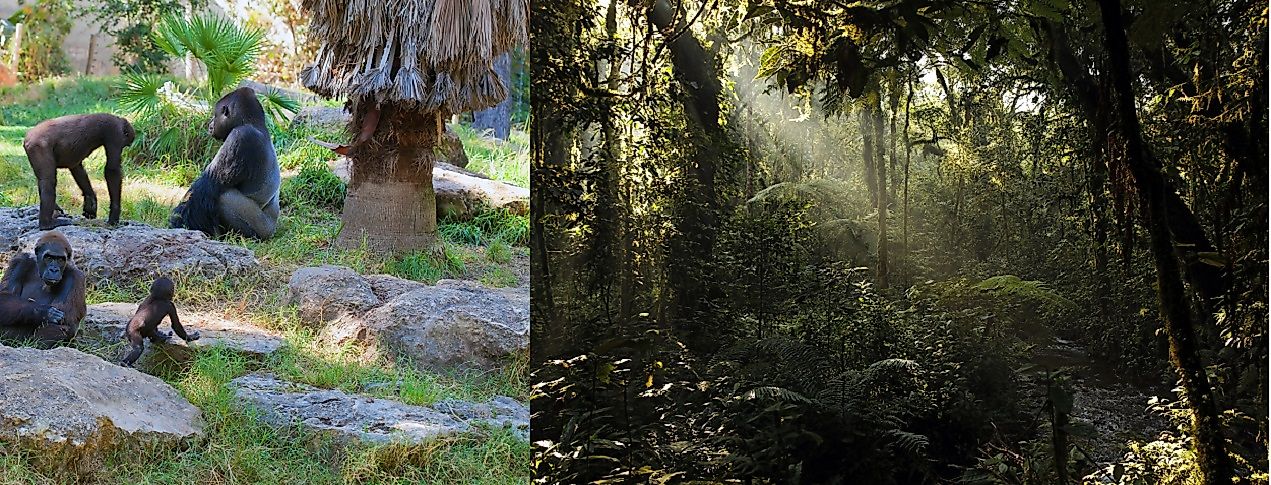 UNESCO World Heritage Sites In Uganda
