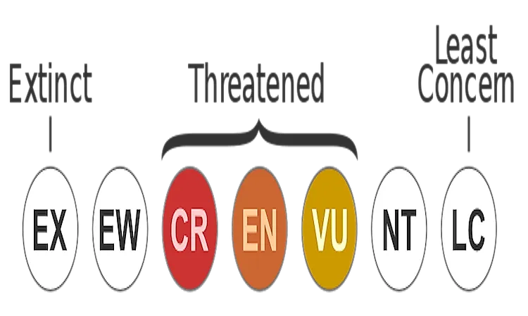 What Is The IUCN Red List? What Are The IUCN Red List Categories?